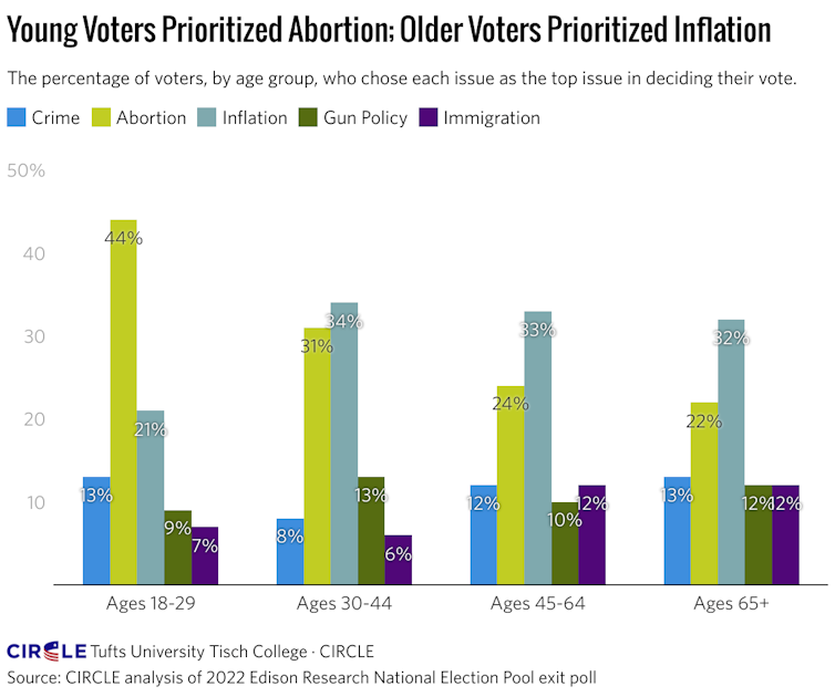 Graph showing estimation of turnout in US midterm elections by age and issue