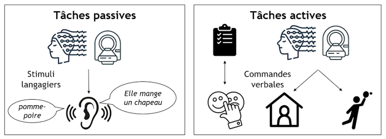 Les tâches passives font appel à la compréhension de mots, phrases… Les tâches actives demandent de répondre à une commande verbale