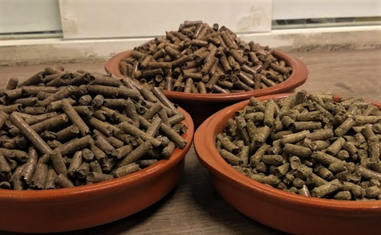 Various clay containers with samples of pellets