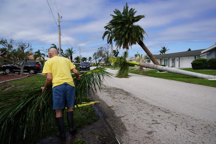 A man clears palm branches from a yard with fallen palm trees in the background, but house standing with no visible damage.