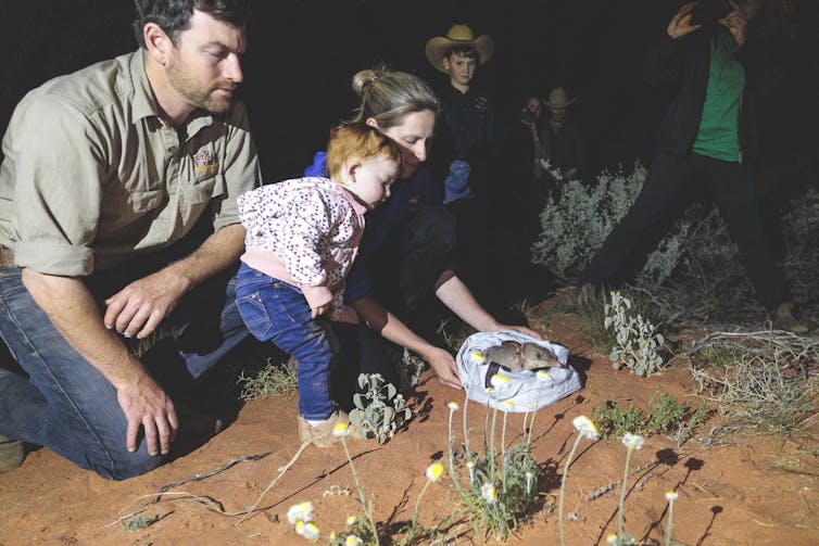 man and child look on as woman releases bilby