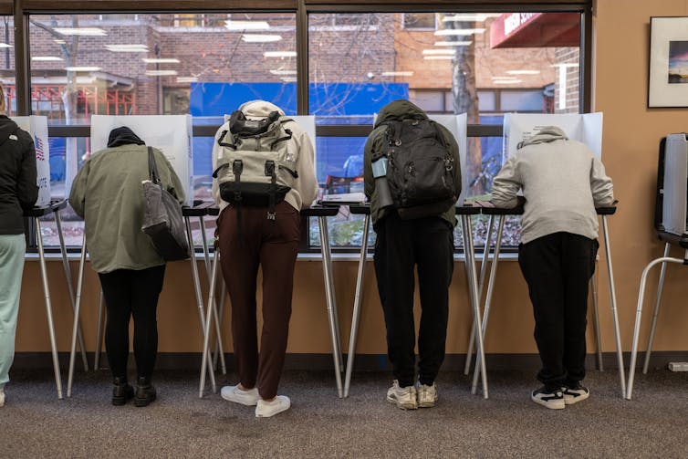 Four voters standing at voting booths, backs to the camera.