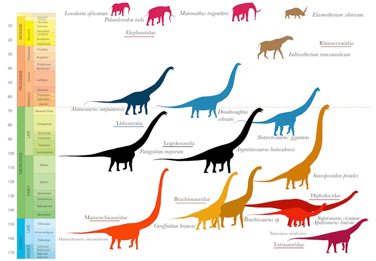 Giant dinosaurs and mammals through time. 