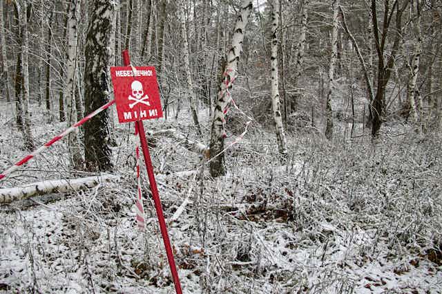 Woodland in the Kharkiv region of Ukraine with a sign warning of mines.