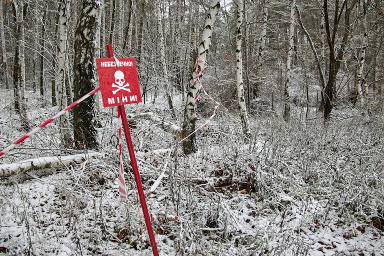 Woodland in the Kharkiv region of Ukraine with a sign warning of mines.