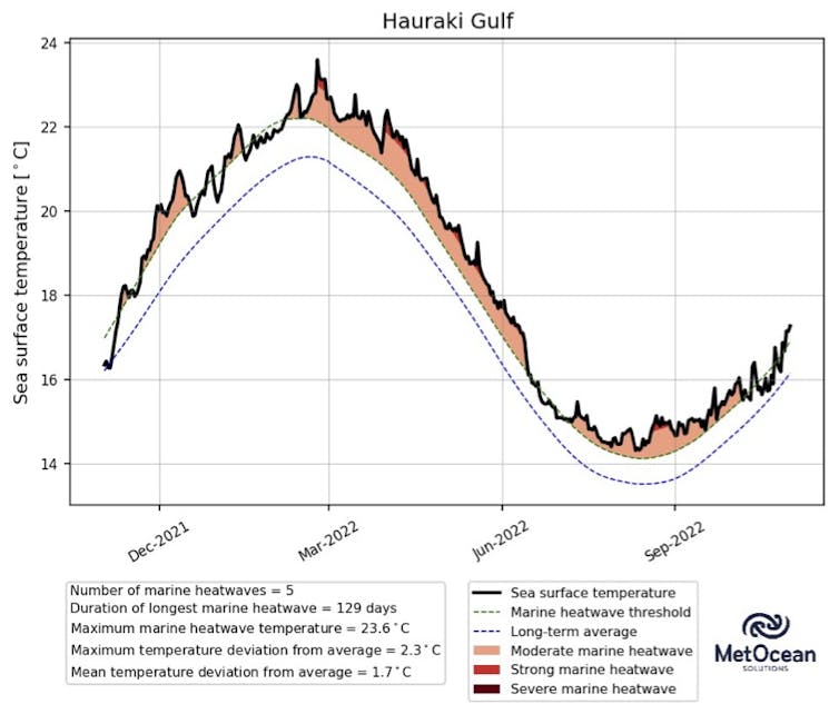 A graph showing the 2021/22 heatwave in the Hauraki Gulf.