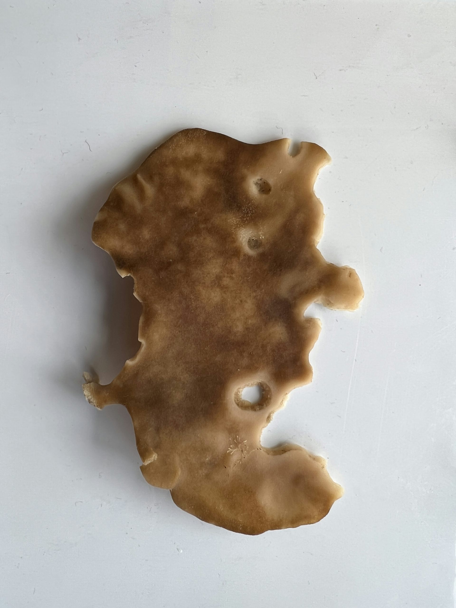 A brown sponge with holes showing wheer it's being eaten.