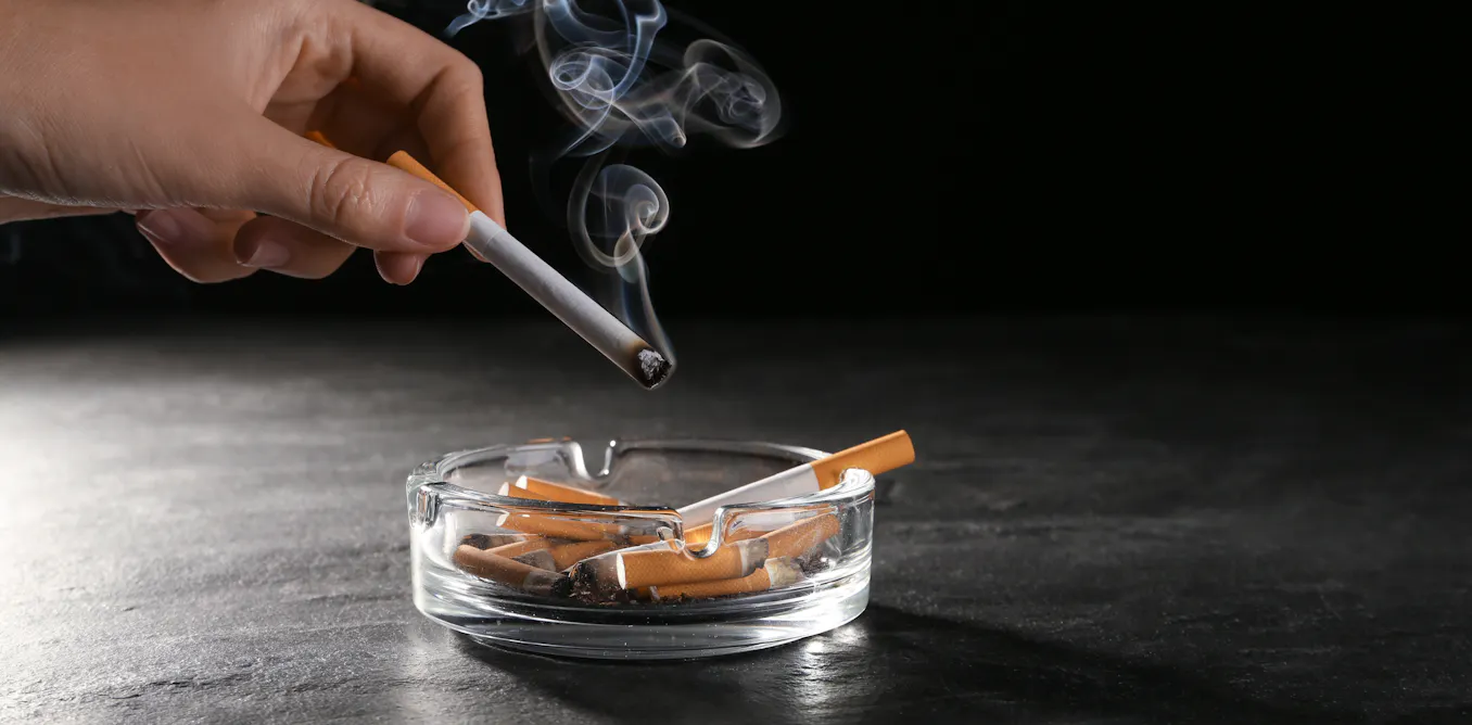 big tobacco meaning I stand with 2026 shirt, hoodie & apparel Big Tobacco asks regulator to