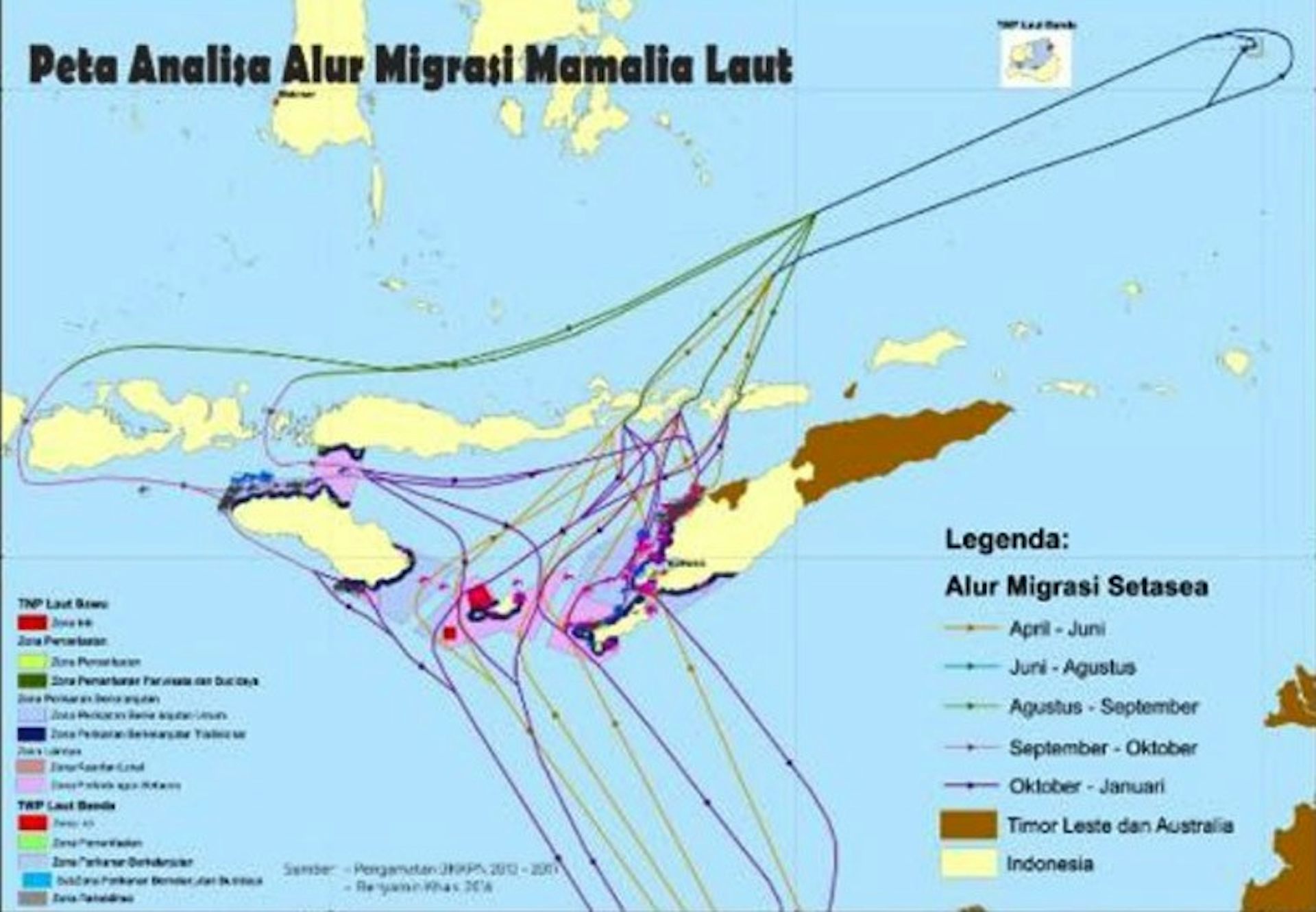 Migrasi Sunyi: Perang dan Pergeseran Habitat Satwa Liar