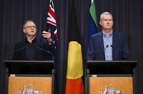 Welfare recipients are potential winners from Pocock twisting Albanese's arm