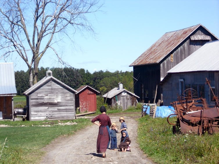 Amish farm in New York.