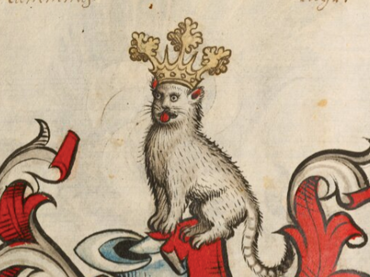 Cats in the middle ages: what medieval manuscripts teach us about our  ancestors' pets