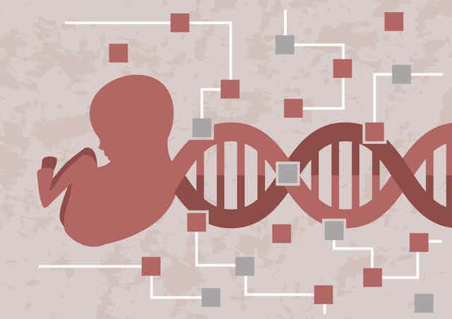 Illustration of fetus connected to a DNA strand, with pink and gray squares spread across the image