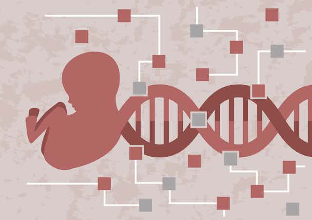Prenatal Paternity Testing