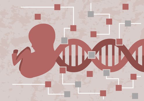 Pregnancy is a genetic battlefield – how conflicts of interest pit mom's and dad's genes against each other