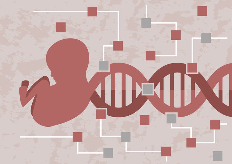 Illustration of a baby in a fetal position connected to a strand of DNA