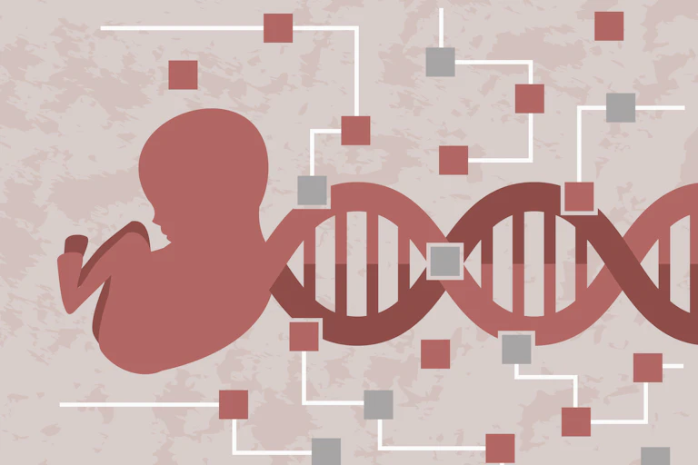 Illustration of fetus connected to a DNA strand, with pink and gray squares spread across the image