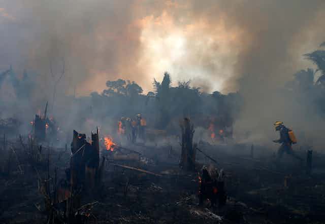 Fire fighter runs through burnt forest
