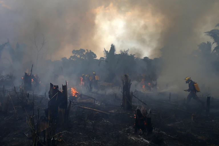 Fire fighter runs through burnt forest