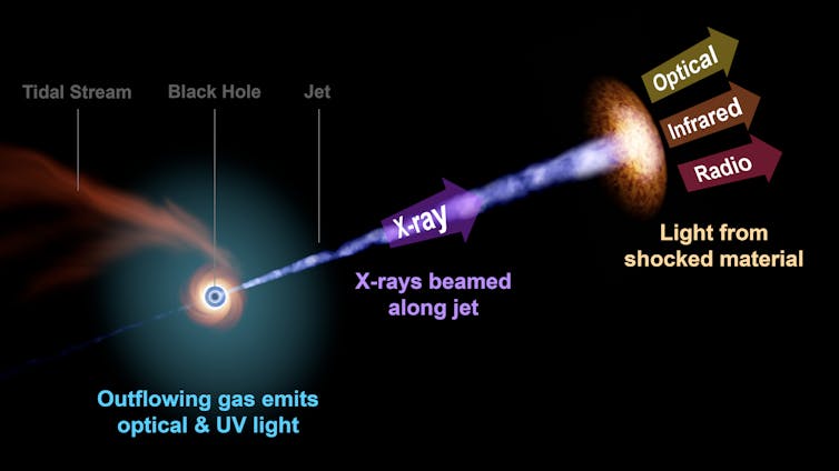X-ray emission comes from close to the black hole, and emission at other wavelengths comes from further downstream in the jets.