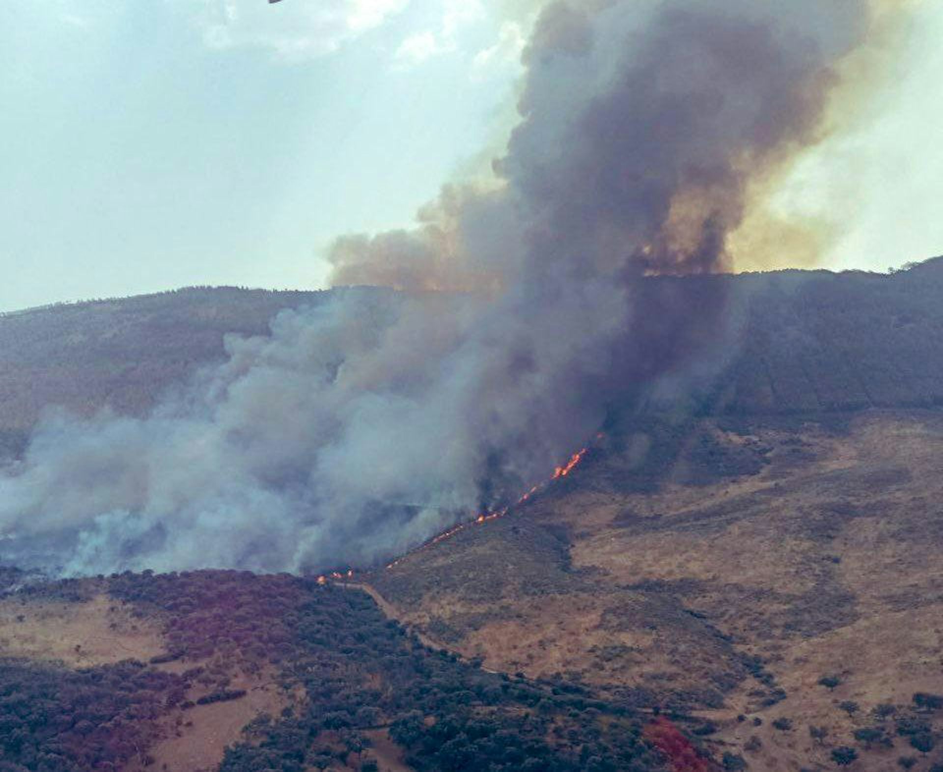 Identificadas Las Verdaderas Causas De La última Ola De Megaincendios ...