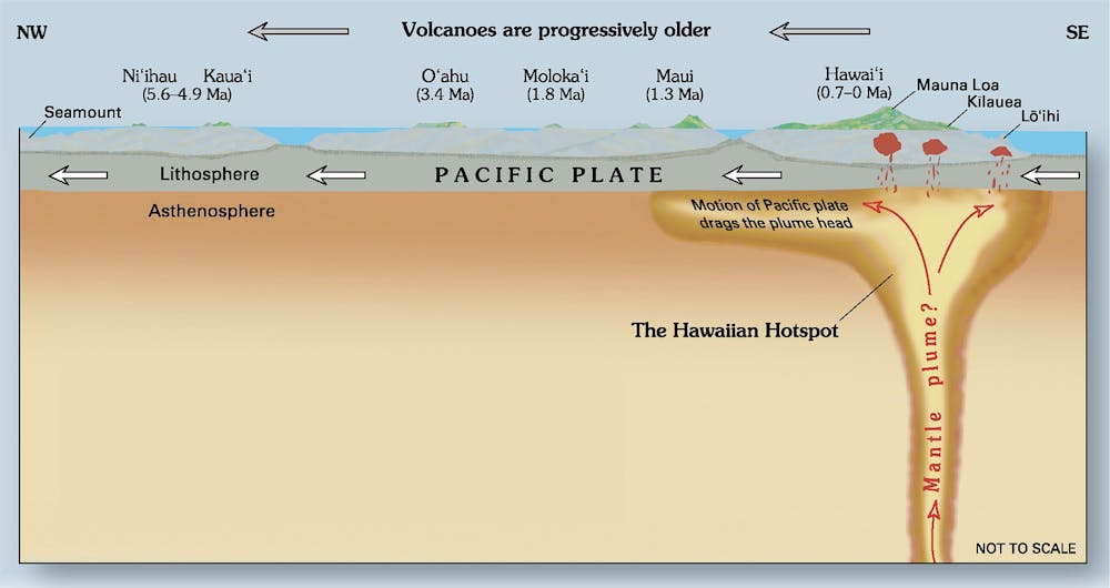 what tectonic plate is mauna loa on