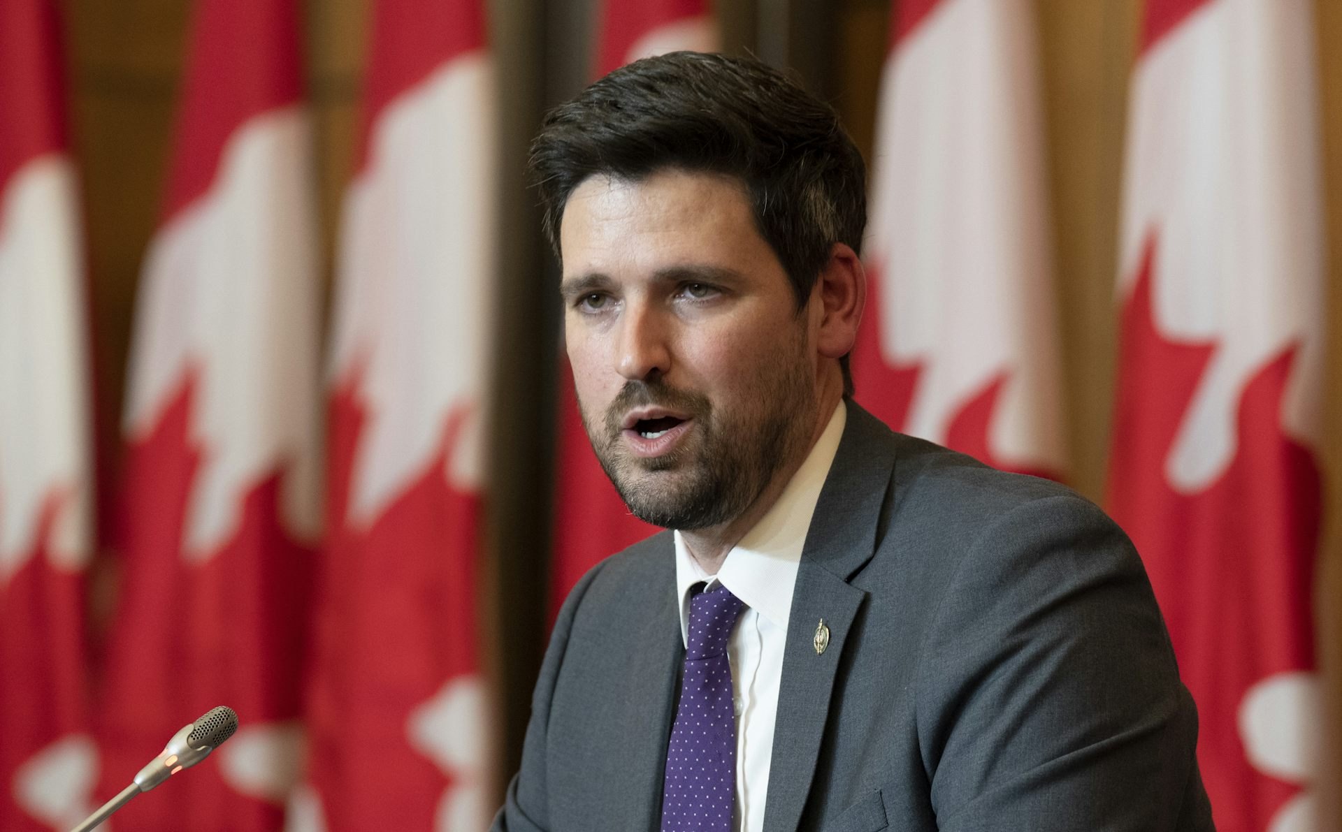 A man in a suit and tie speaking into a microphone. Behind him stands a line of Canadian flags