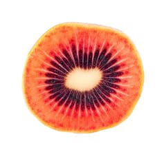 Red kiwifruit
