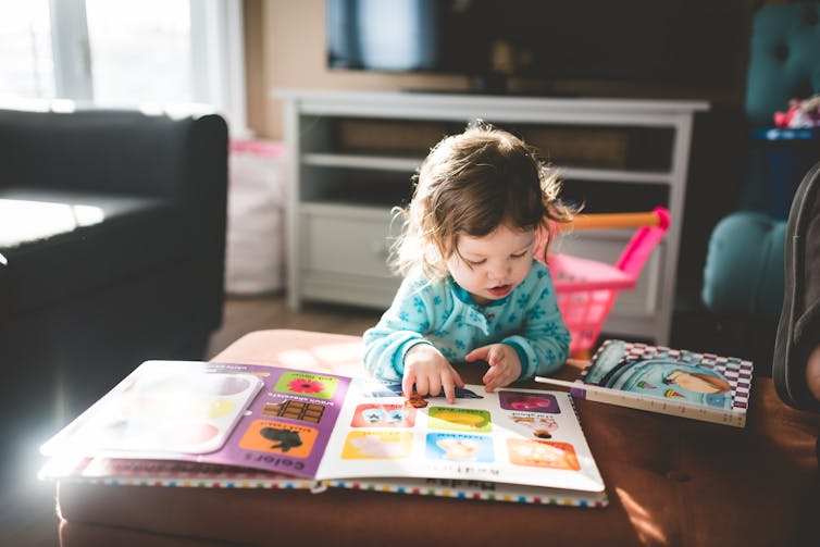 Toddler reads from a board book