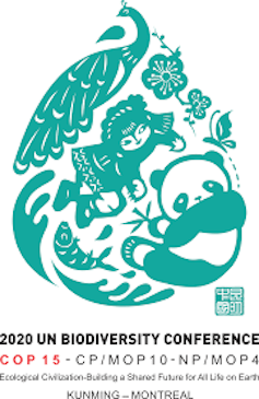 Graphic of a girl reaching to embrace a panda