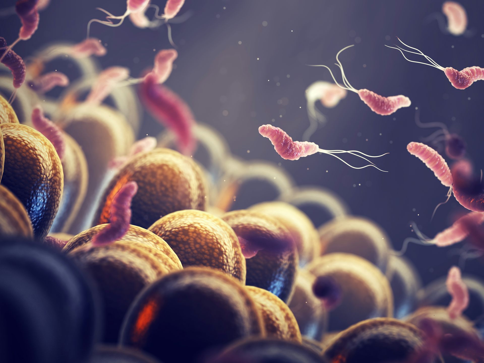 La doble cara de las bacterias: promotoras del cáncer y nuestras aliadas para combatirlo