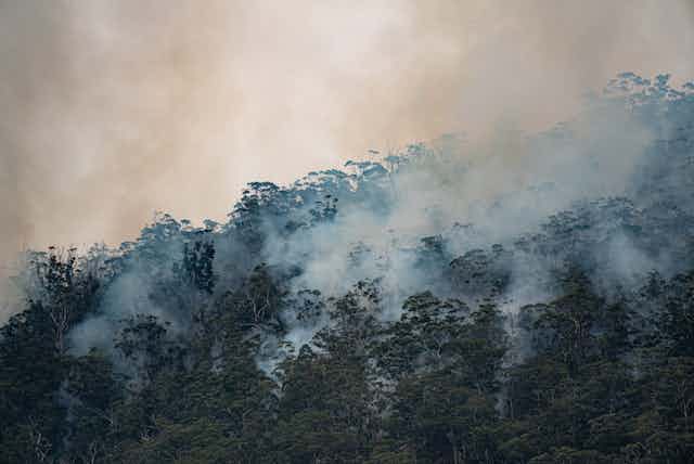 Bushfire smoke rising from hilly Australian bush