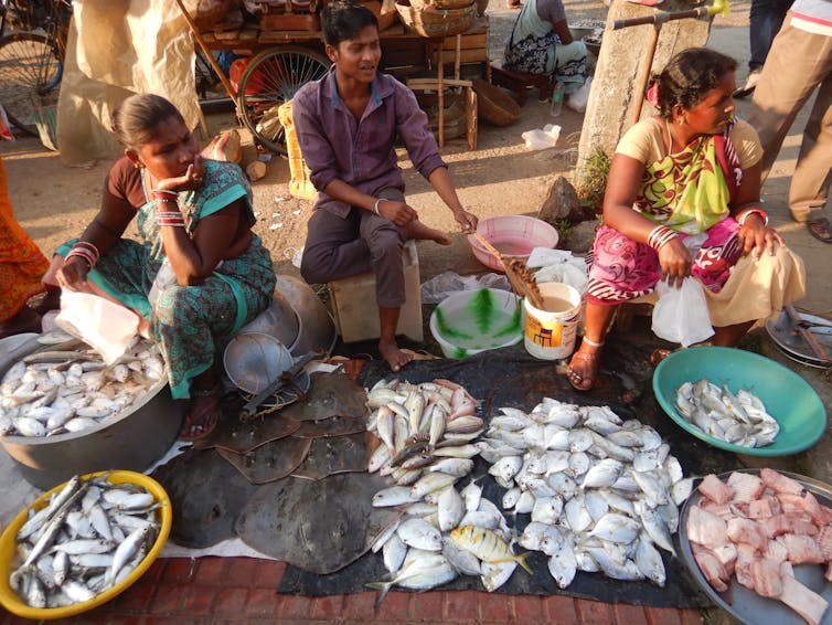 a man and two women sit on stools with a variety of fish for sale at their feet