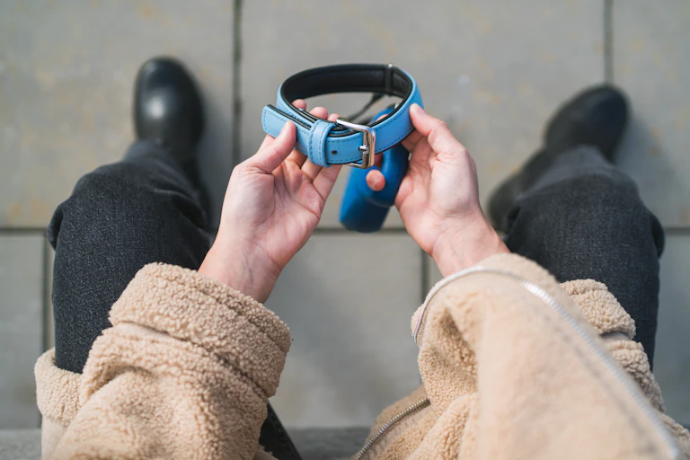 Owner sat on a bench holding a dog collar and lead