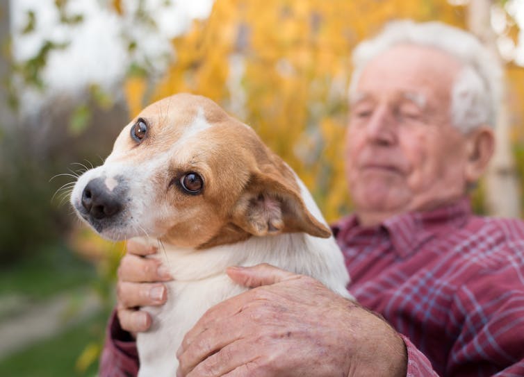 Older man holding pet dog outside