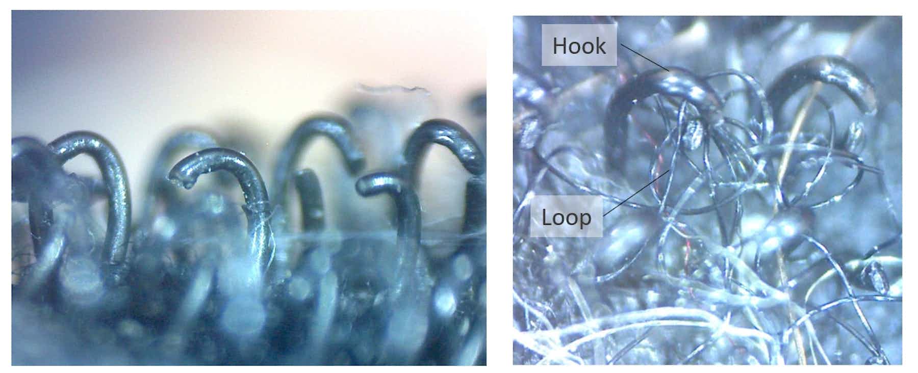 Five human technologies inspired by nature – from velcro to racing cars