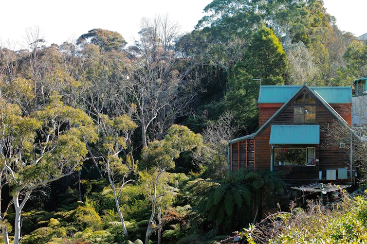 house in blue mountains