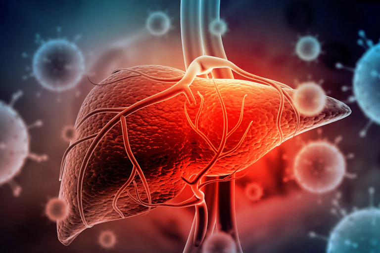 An image of a liver surrounded by viruses.