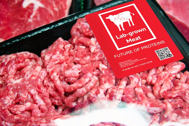 Artificial beef lab grown meat in retail supermarket emerging field of food production with label.