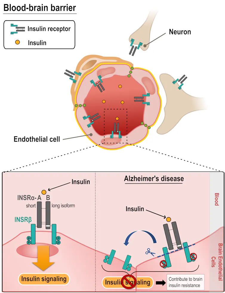 schematic