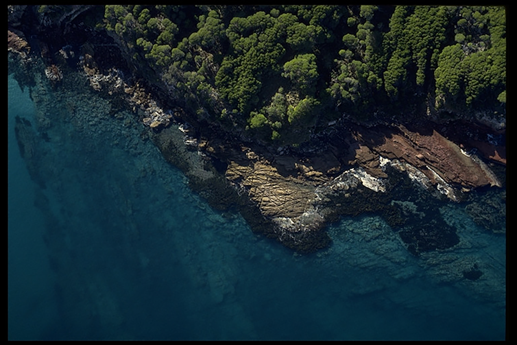 Aerial view of coast