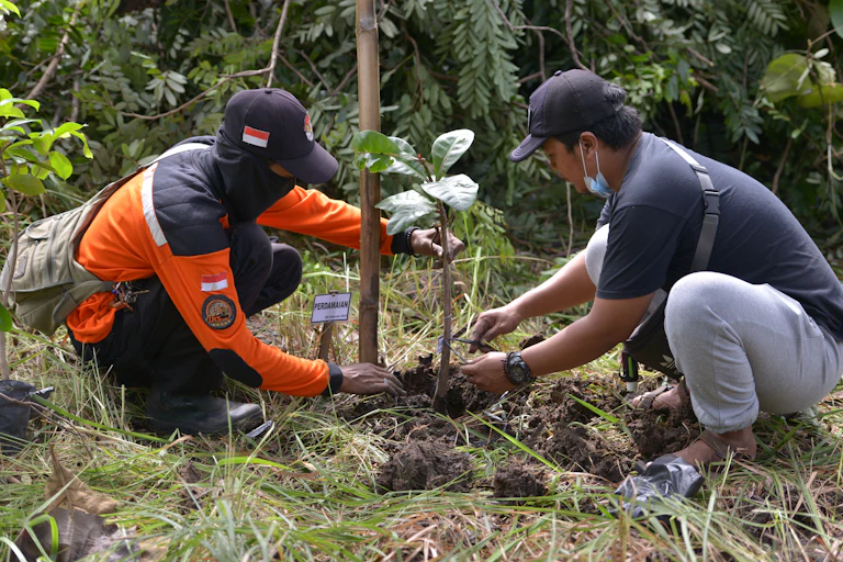 deux hommes plantent un arbre