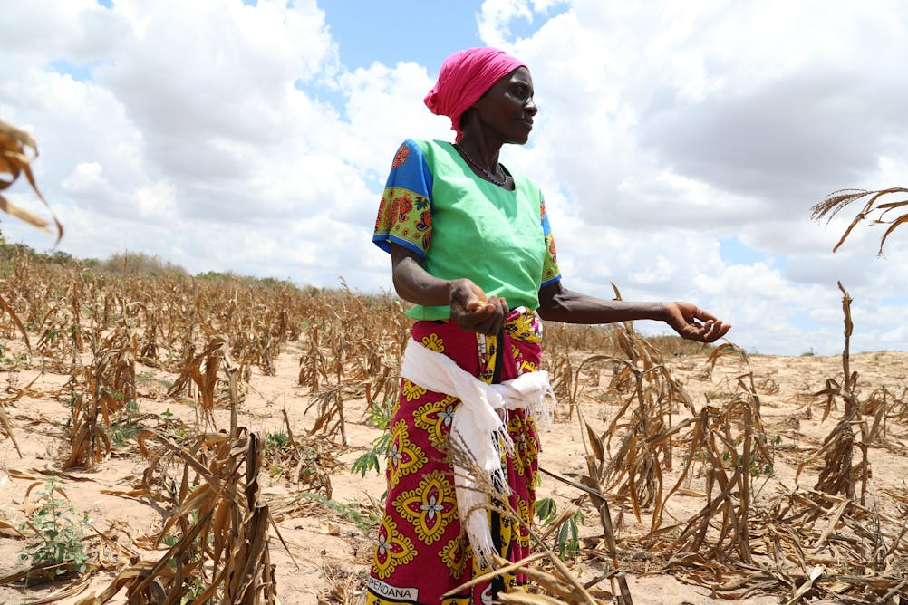 Climate crisis in Africa exposes real cause of hunger – colonial food systems that leave people morevulnerable