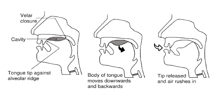 A diagram of the human head showing the mouth and three stages of sound being produced.
