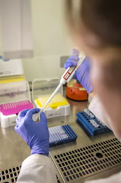 Photo d’une personne portant des gants en train de manipuler une micropipette en laboratoire