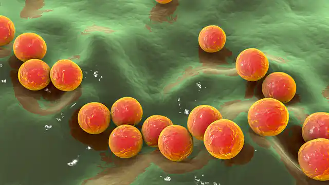 Strep Ragbi Strep A: three doctors explain what you need to look out for
