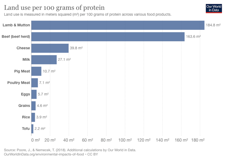 Chart of land use per 100g of protein for different foods