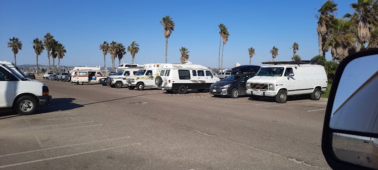 A parking lot full of pickup trucks with palm trees visible in the background