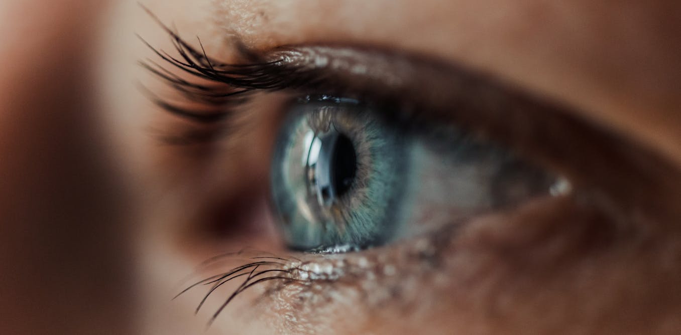 Invisible skin mites called Demodex almost certainly live on your face ...