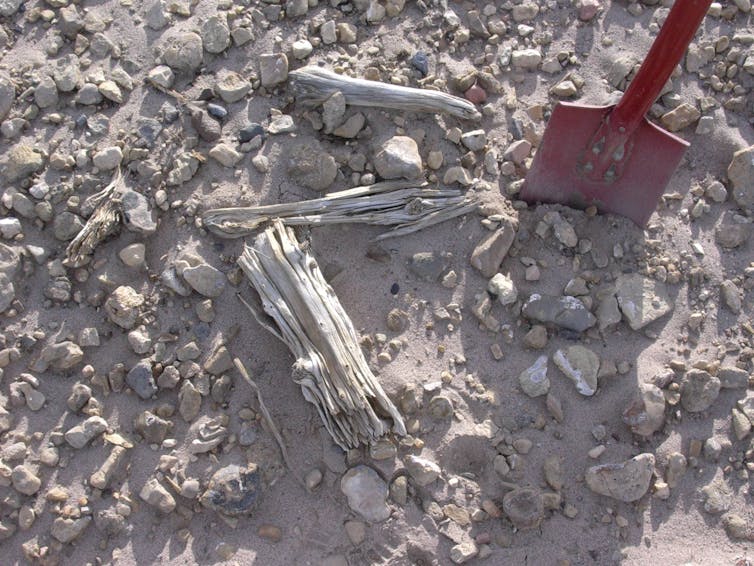 A photo showing old fragments of wood on dusty ground next to a shovel.